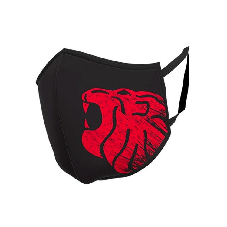 LION FACE MASK